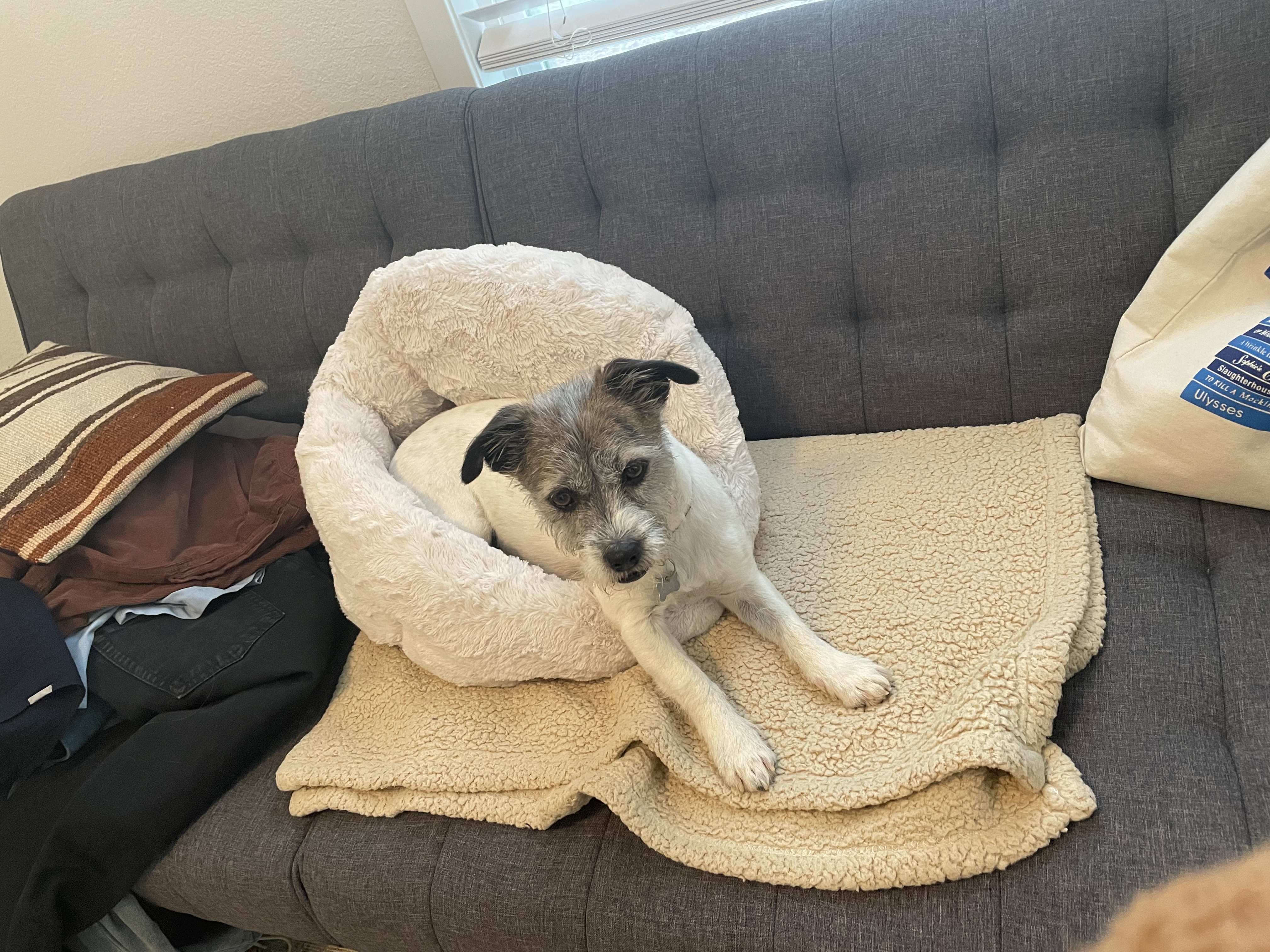 Big Snacks Small Bed